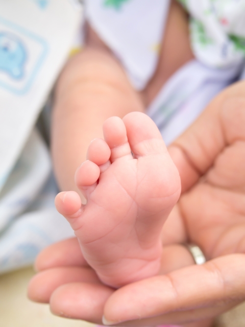 One Quarter of all bones in the human foot are found in the feet Young feet